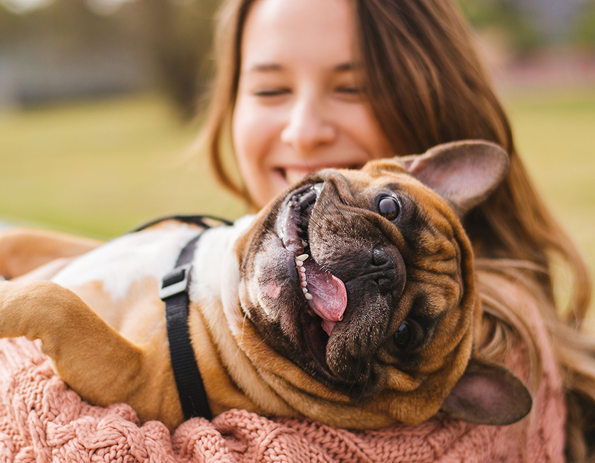 Some Pet Friendly Rooms